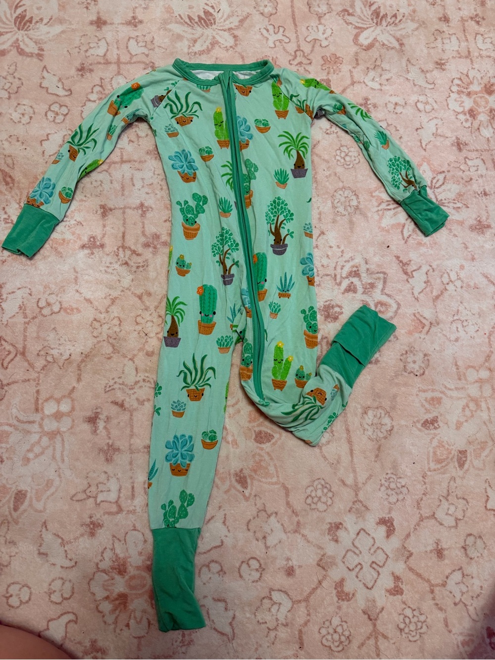 Little Sleepies Succulent Zippy